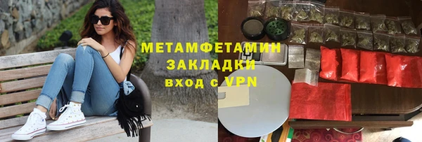 трава Корсаков