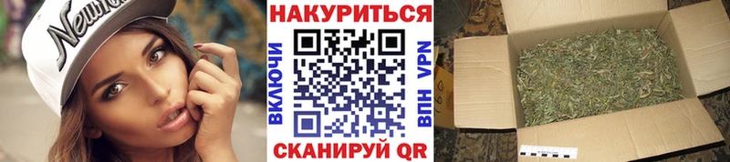 Бошки Шишки план  Егорьевск 